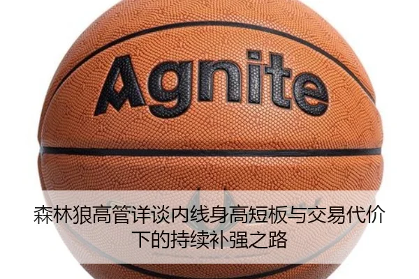 森林狼高管详谈内线身高短板与交易代价下的持续补强之路